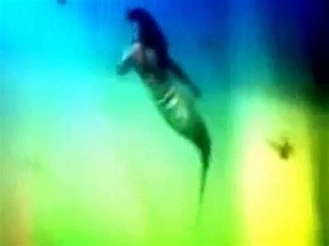 Real Mermaid Captured By French Scientists Video Dailymotion Video