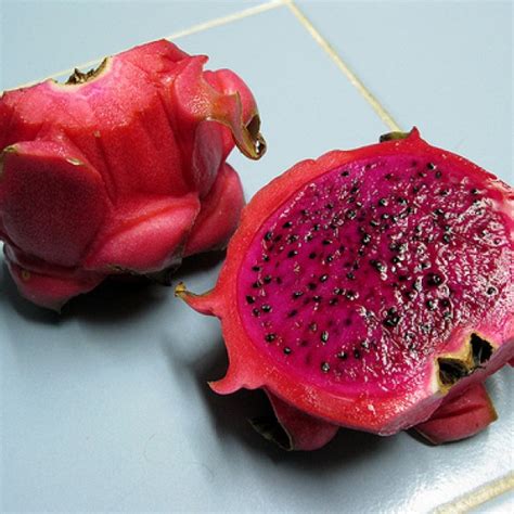 Dragon fruit is among the most nutritious and wonderful exotic fruits. Dragon Fruit Costa Rican Sunset Vine Plant Pitaya ...
