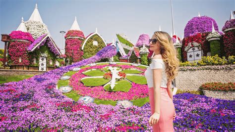 Dubai Miracle Garden All You Need To Know Location Faqs Blog