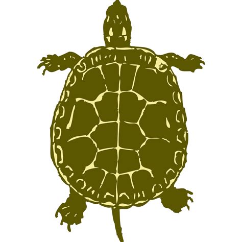Turtle Png Svg Clip Art For Web Download Clip Art Png