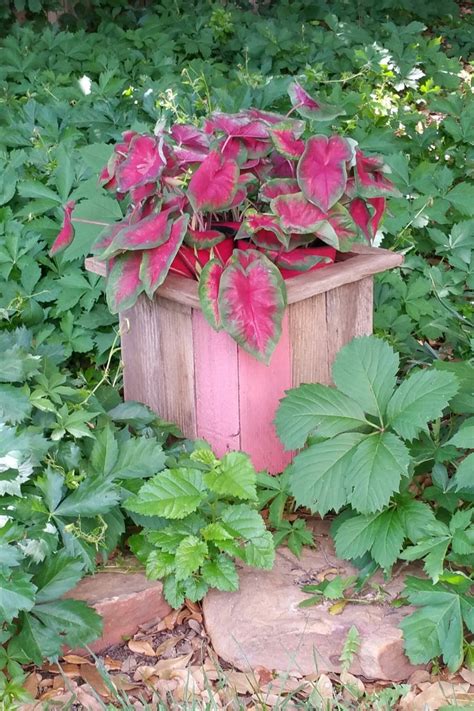 On the similar time that you could be balk on the thought of utilizing outdoor decorations inside, they're simply in a position so. 10 Cool Outdoor Planters For People Who Literally Kill ...