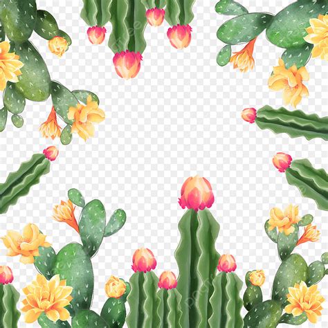 Watercolor Cactus Flower Plant Border Cactus Plant Watercolor Png