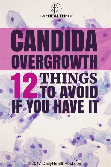 Candida Overgrowth 12 Things To Avoid If You Have It