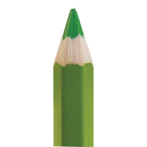 Prismacolor Colored Pencil Dark Green Ubicaciondepersonascdmxgobmx