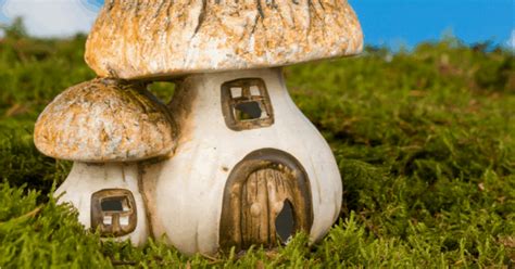 From a garden under glass to. 9 Easy DIY Fairy Garden Ideas On The Cheap - Pretty Opinionated