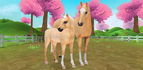 Star Stable Horses Update Star Stable Gamekit Mmo Games Premium