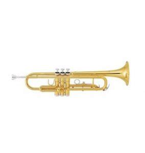 From middle english trumpet, trumpette, trompette (trumpet), from old french trompette (trumpet), diminutive of trompe (horn, trump, trumpet), from frankish *trumpa, *trumba (trumpet), ultimately imitative. 5 Best Trumpets in 2020 → Buying Guide & PRO Review