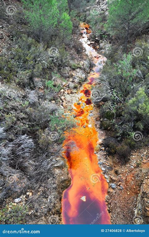 Quelle Von Tinto Fluss Andalusien Spanien Stockfoto Bild Von Wald