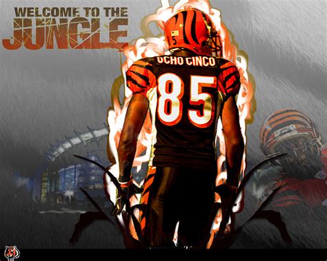 We have an extensive collection of amazing background images carefully chosen. Bengals Wallpaper (45 Wallpapers) - Adorable Wallpapers