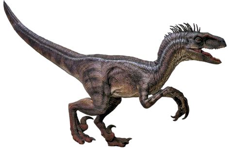 Jurassic Park 3 Velociraptor Transparent By Speedcam On Deviantart