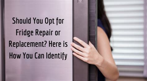 Should You Opt For Fridge Repair Or Replacement Here Is How You Can