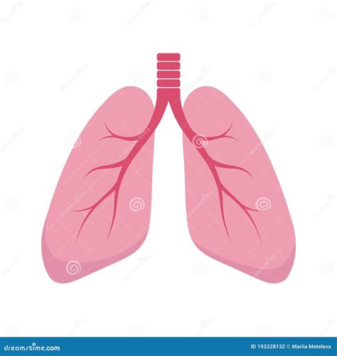 Pulmones Humanos Sanos Icono Plano De Pulmones Ilustración De Dibujos