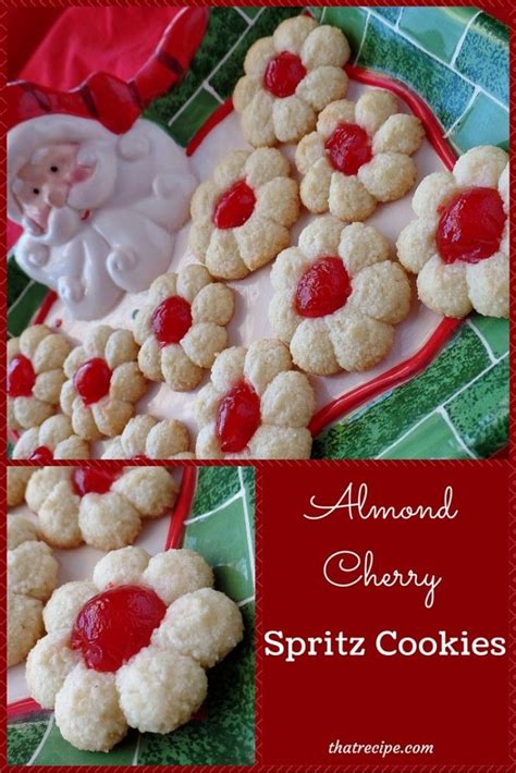 Cinnamon sugar almond flour cookies are the perfect grain free cookie for the holidays. Pin on Holiday - Christmas Recipes & More