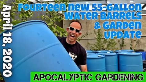 14 New 55 Gallon Water Drums Planting 2 Peach Trees And Building A