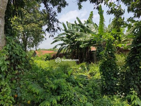 Tanah Dijual Lahan Komersil Tanah Luas Di Pinggir Jalan Raya Pantura