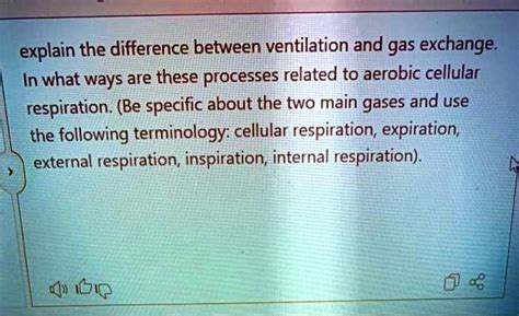 Solved Explain The Difference Between Ventilation And Gas Exchange In