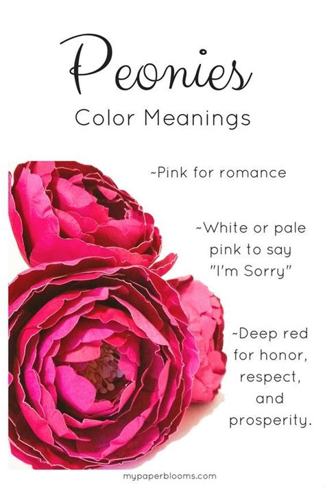 Peony Flower Meaning Flower Meanings Color Meanings Flower Mandala