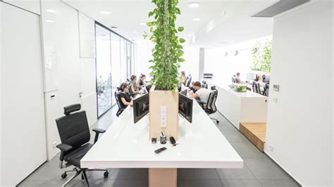 Modern Office Interior With Indoor Plants Obsigen