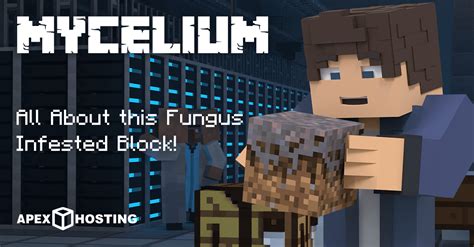 Mycelium In Minecraft Apex Hosting