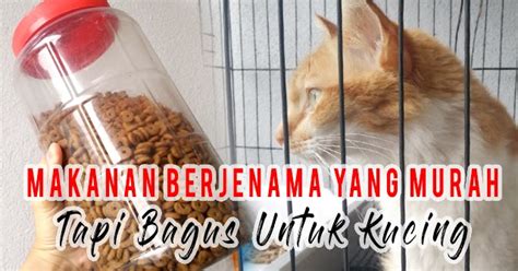 Ubat Tak Berak - Perubatan r