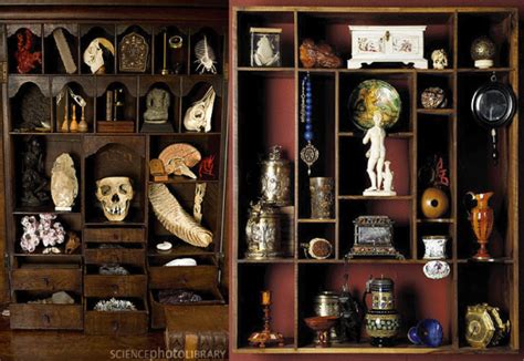 A mix of specimens from nature, science, and various cultures, it was intended to amaze, but it was also meant to inspire study and understanding.. Topic: Cabinets of Wonder: A place for all things curious ...