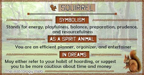 Squirrel Meaning And Symbolism The Astrology Web Spiritual Animal
