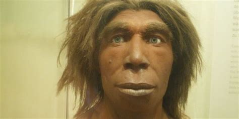 Neanderthal Womans Dna Reveals Ancient Inbreeding Mysterious Human