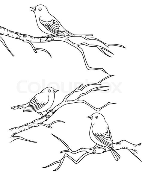 How To Draw A Bird Sitting In A Tree At Drawing Tutorials