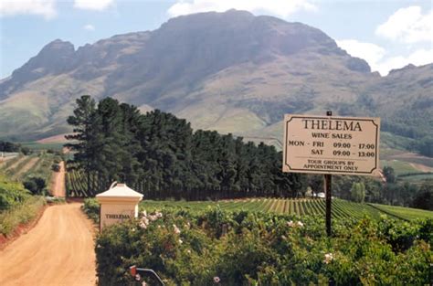 The Wines Of Thelema Mountain Vineyards Stellenbosch South Africa