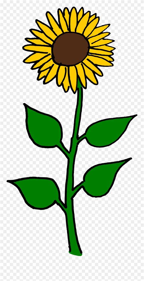 Clip Art Sunflower 20 Free Cliparts Download Images On Clipground 2023