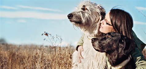 We will walk alongside you during your grief to ensure that your precious family member will be treated with love and respect. 6 Things To Help You Through Pet Loss Grief | Modern Dog ...