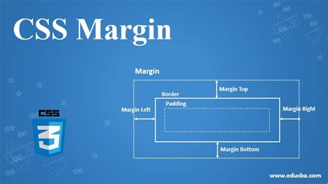 Css Margin How To Set Margin For Individual Sides In Css