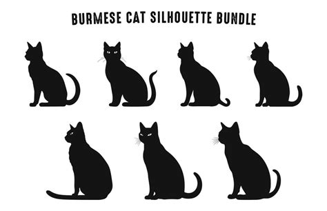 burmese cat silhouettes vector art set black cats silhouette icon collection 36523274 vector