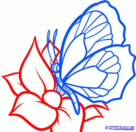 Step 6 Flower Line Drawings Butterfly Coloring Page Butterfly Drawing