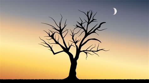 Tree Without Leaves 1920x1080 Minimalwallpaper