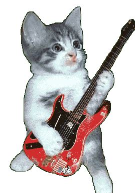 Search, discover and share your favorite cat chewing gifs. Animals with guitar - Funny Animated GIFs | Hard-guitar ...