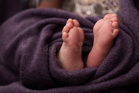 438 Purple Toes Photos Free And Royalty Free Stock Photos From Dreamstime