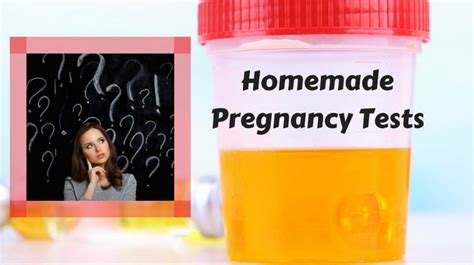 Homemade Pregnancy Tests Diy Natural Home Remedies