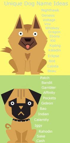 52 Best original pet names images | Pet names, Pets, Dogs