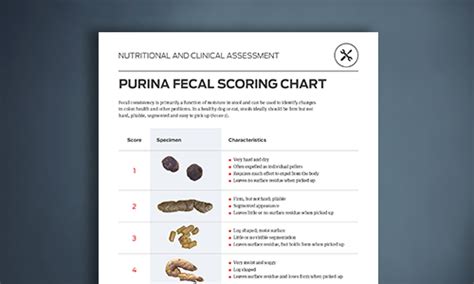 Purina Fecal Scoring Chart Purinainstitute