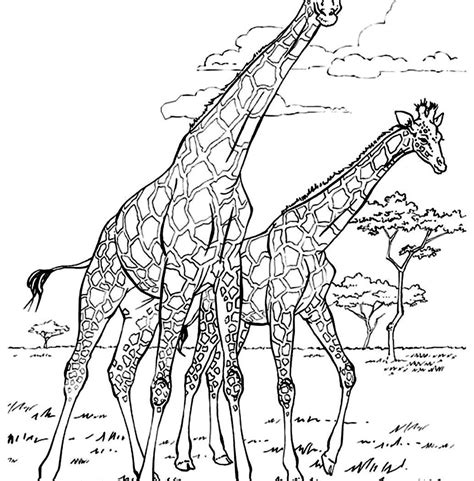 Supercoloring.com is a super fun for all ages: African Savanna Coloring Page at GetColorings.com | Free ...