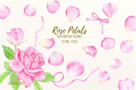 Watercolor Pink Rose Petals By Cornercroft Thehungryjpeg