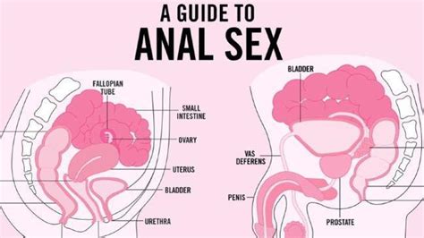 Anal Sex Soft Porn