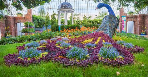 Spring Flower Show 2019 Gardens Of The Rainbow Phipps Conservatory