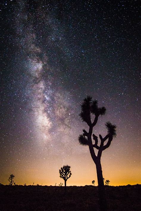 Joshua Tree National Park Print Milky Way Starry Sky Etsy Desert