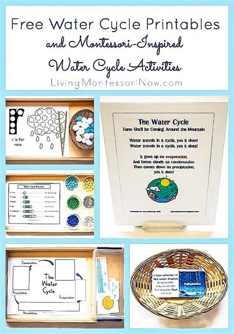 Lots Of Free Water Cycle Printables And Hands On Water Cycle Activities