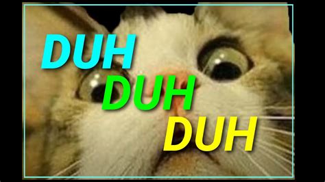 Duh Duh Duh Sound Effect Remastered Cat Dramatic Dun Dun Dun