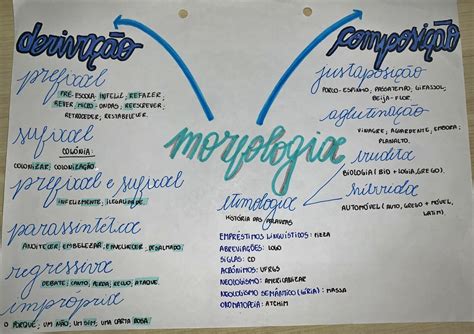 Mapa Mental Sobre Morfologia Study Maps