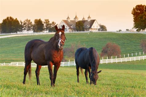 A Journey Through Kentucky Horse Country Kentucky Farming And Horse