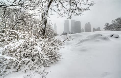 Winter Storm Central Park New York City Stock Image Image Of Street